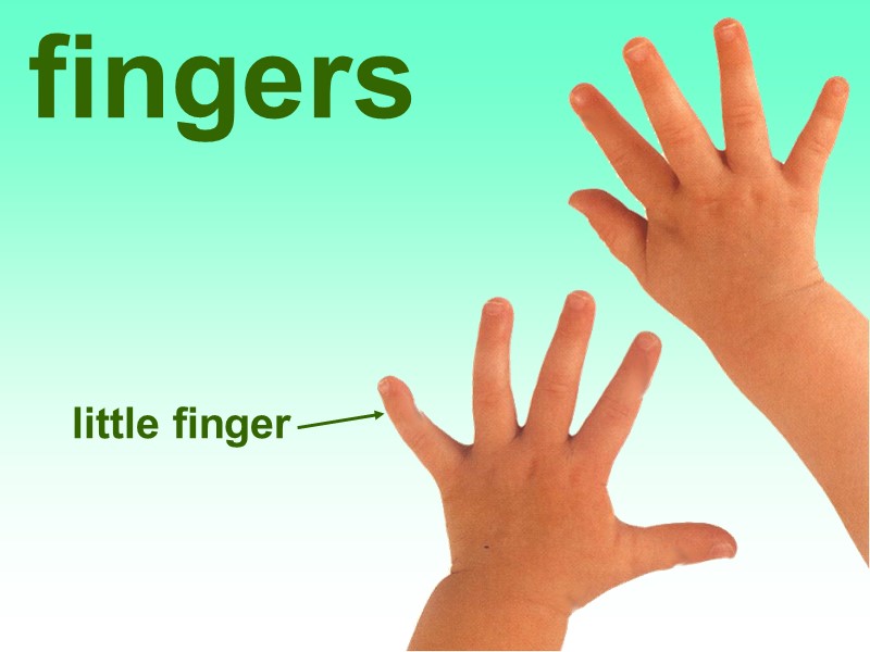 little finger fingers